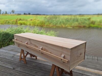 massief-populier-type-2