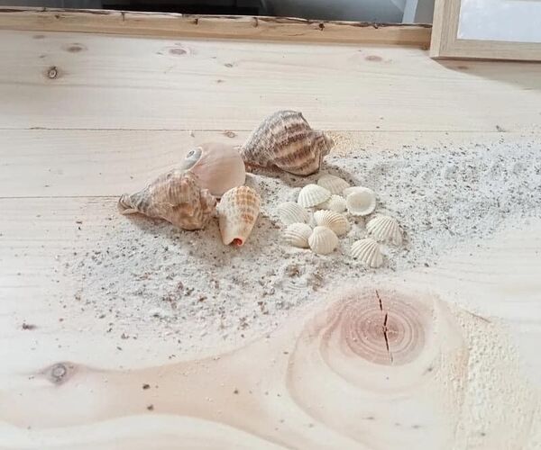 De-kistemakker-uitvaartkist-terschellinger-uitvaartkist-zand-schelpen