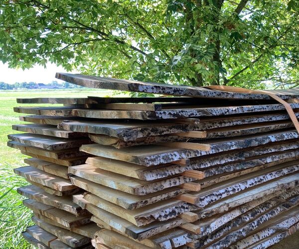 massief-populier-type-1-a