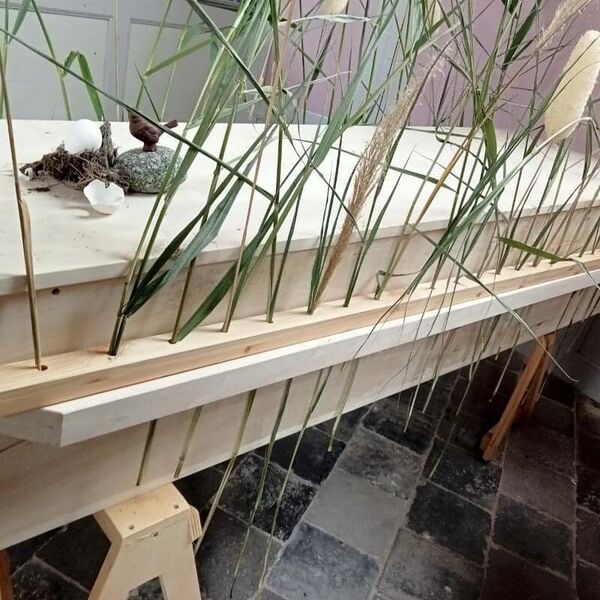 485633776157831120977804432842