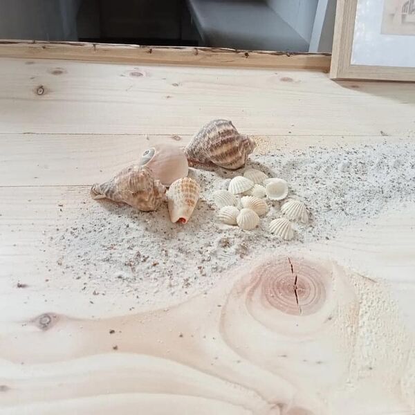 485702328157831092644473931433